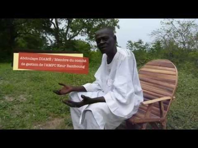 Embedded thumbnail for La 1ère aire marine protégée communautaire d&amp;#039;Afrique de l&amp;#039;Ouest (Sénégal)